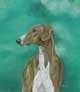 Catherin McMillan