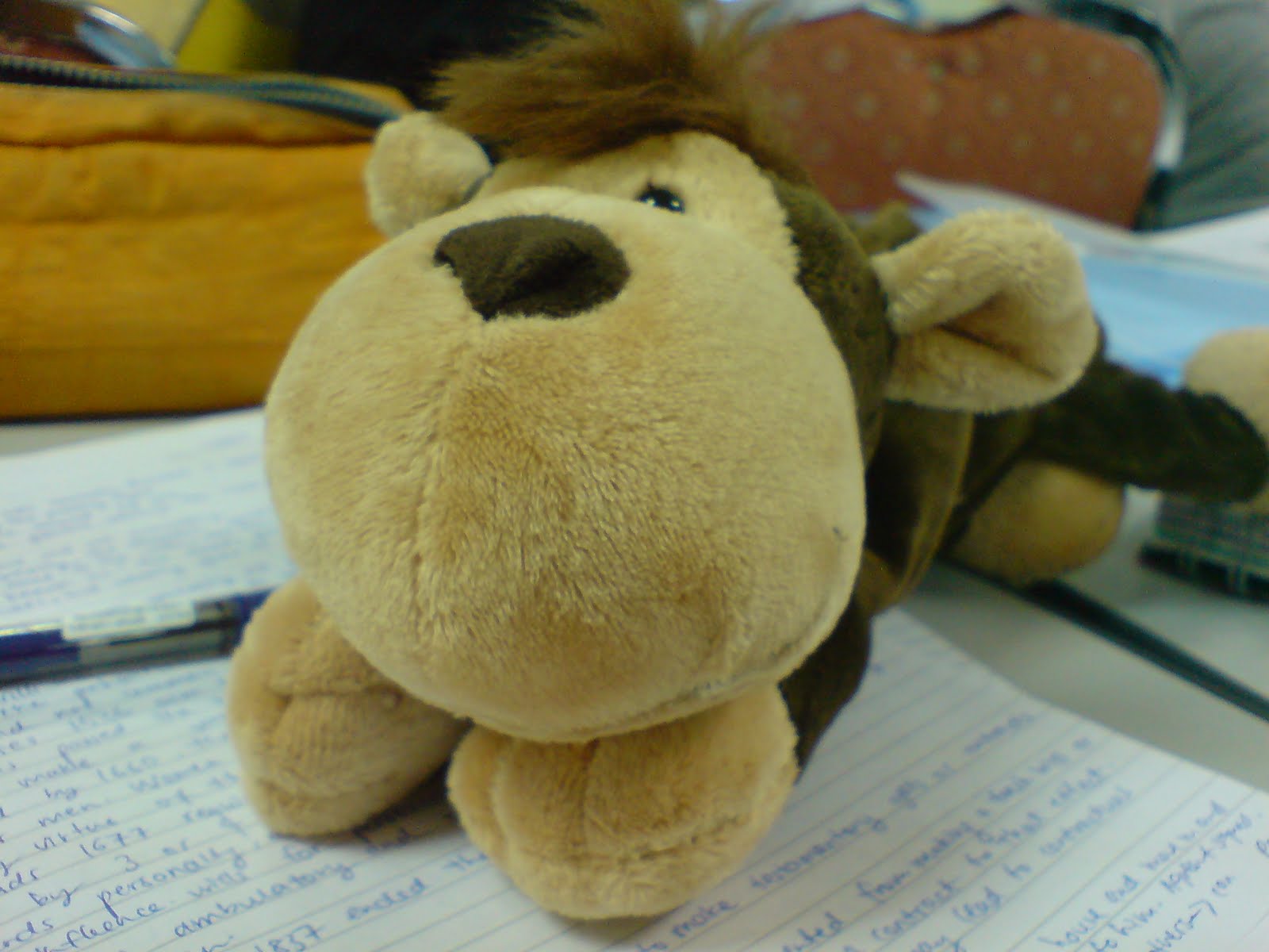 [DSC02355.JPG]