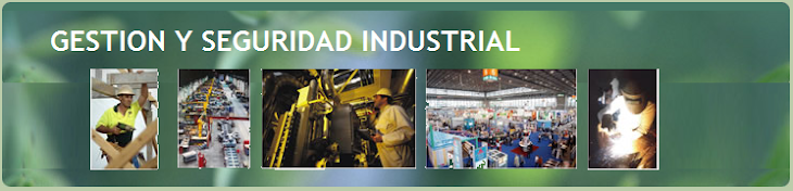 GESTION  Y SEGURIDAD INDUSTRIAL