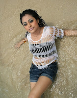 Meenakshi Sexy Stills from Telugu Movie Gang War cleavage