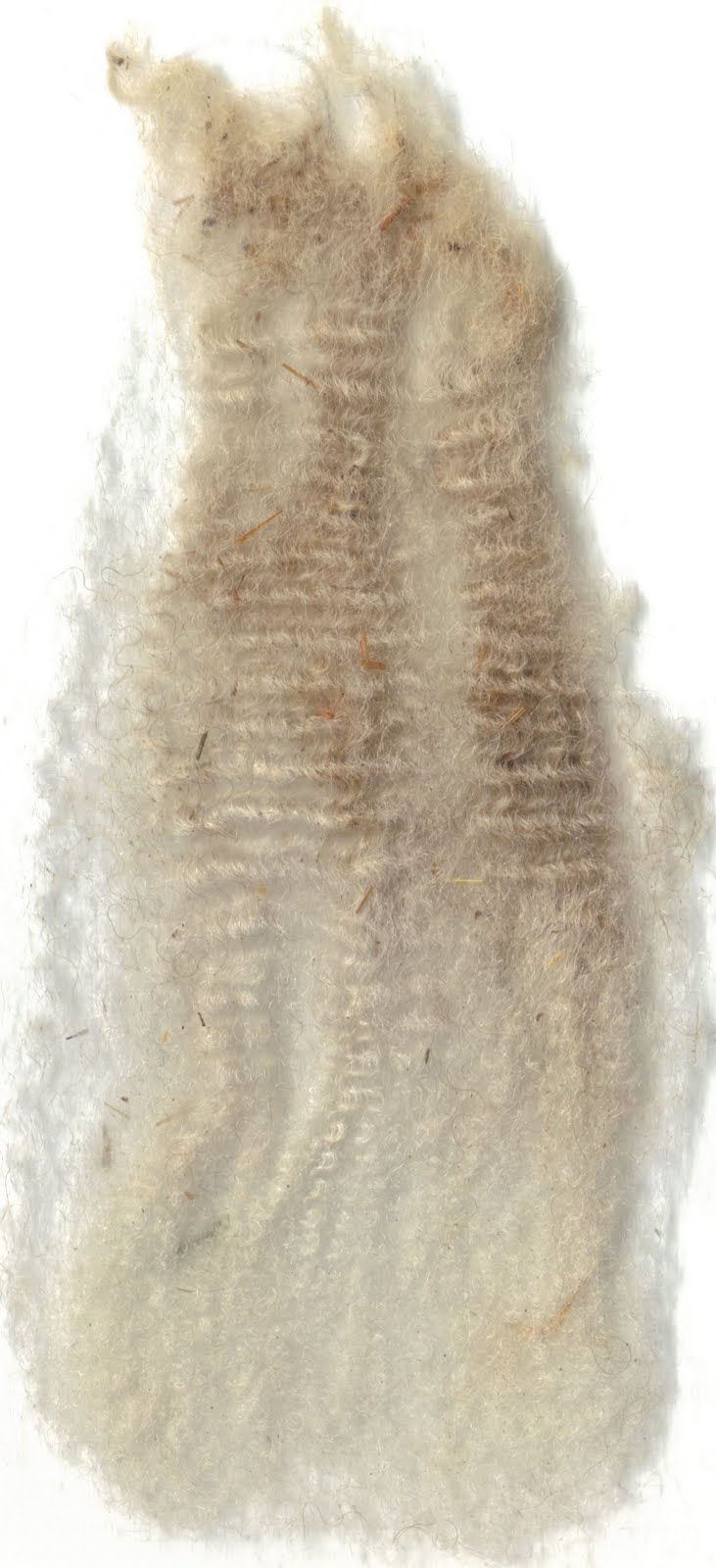 [woolsample3.jpg]