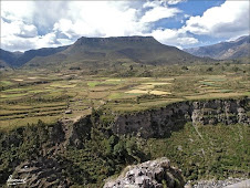 Hualca Hualca