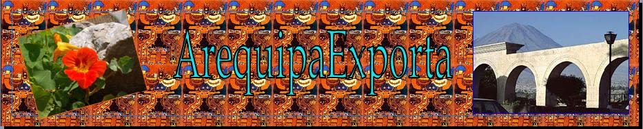 ArequipaExporta-Informa