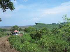 VISTA PANORÁMICA DE TUMILCO...