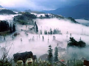 Foggy Sapa in the morning