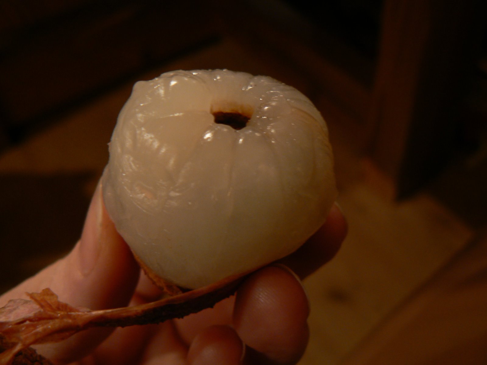 [P1140845.JPG]