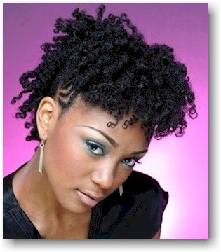 Black Hairstyles Part 5 Hairstyles 2013