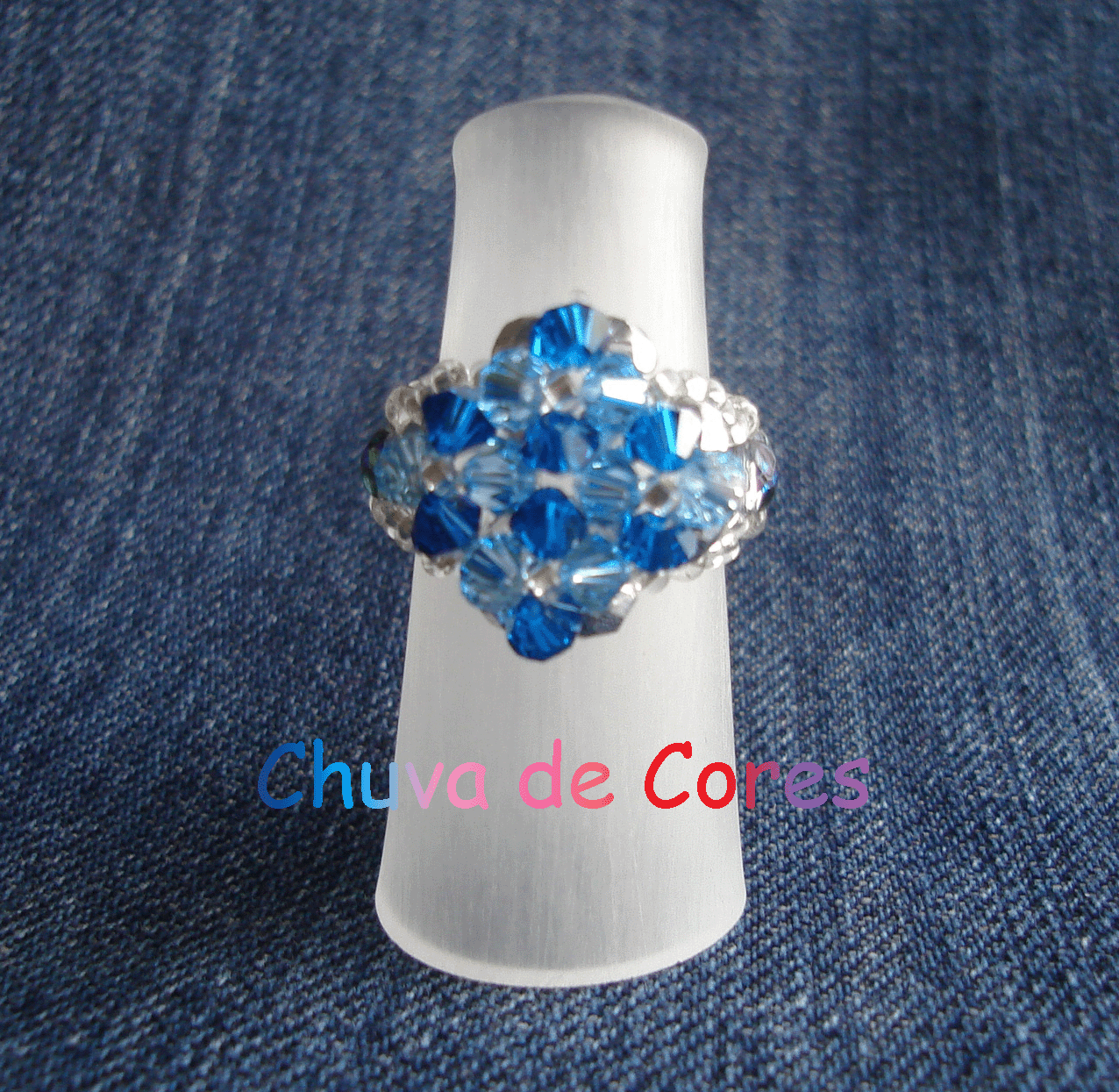[DSC09880_edited-2.gif]