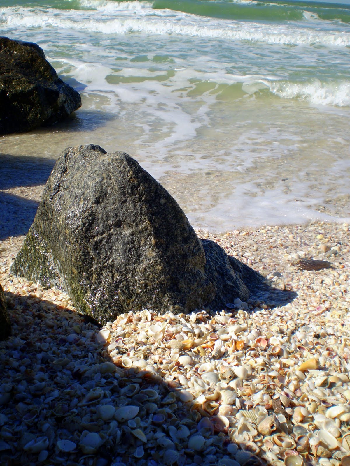 The Essential 40 Miles North of Shell Mountain