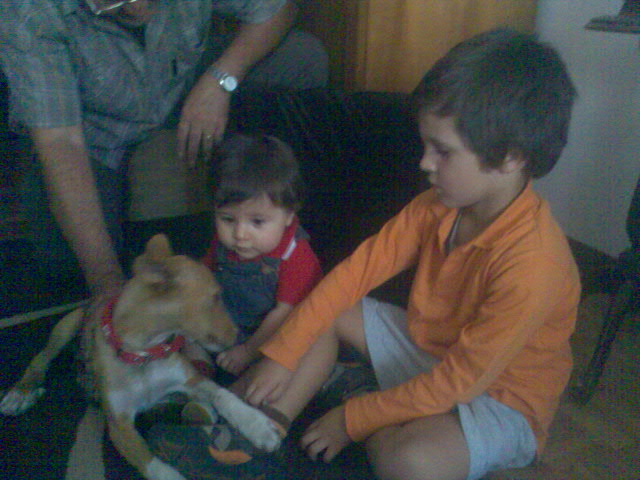 [Img545.jpg]