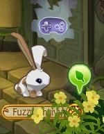 Welcome To Animal Jam!