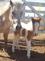 MADRE E HIJO