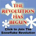 [snowflakerevolution-3.png]