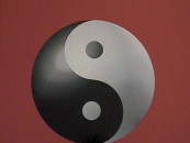 Le Yin & Yang