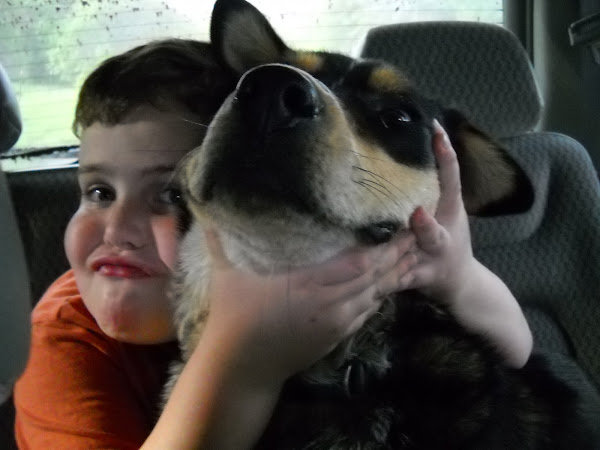 A boy and his dog