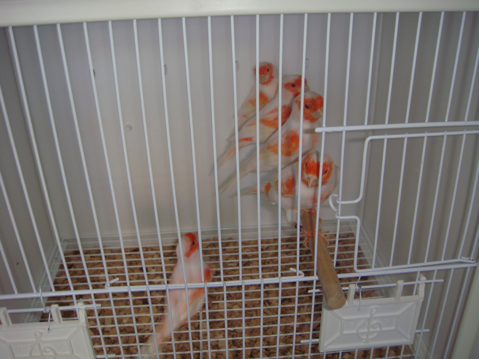 [DSC00806.JPG]