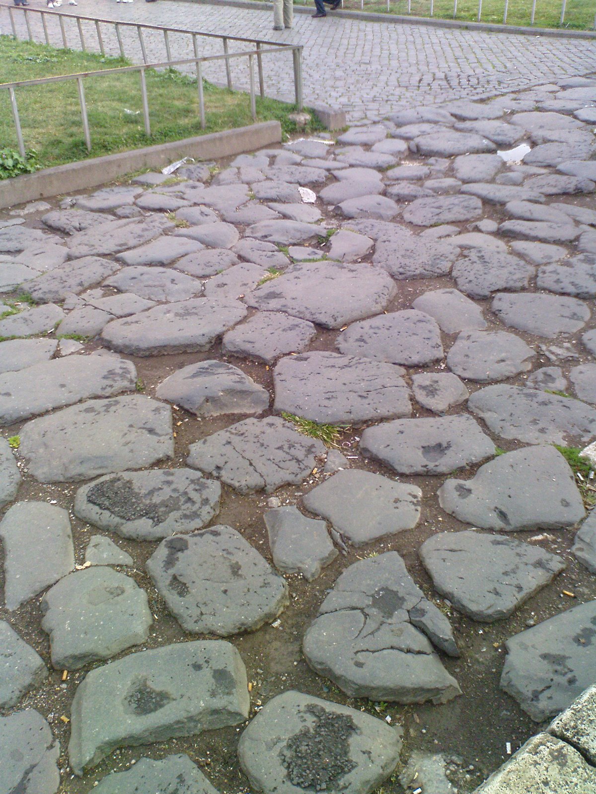 [DSC00452.JPG]