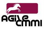 AgileCMMI is a hybrid model of Agile and CMMI