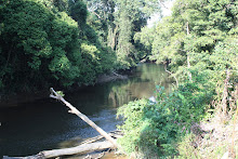 SUNGAI KRIAN