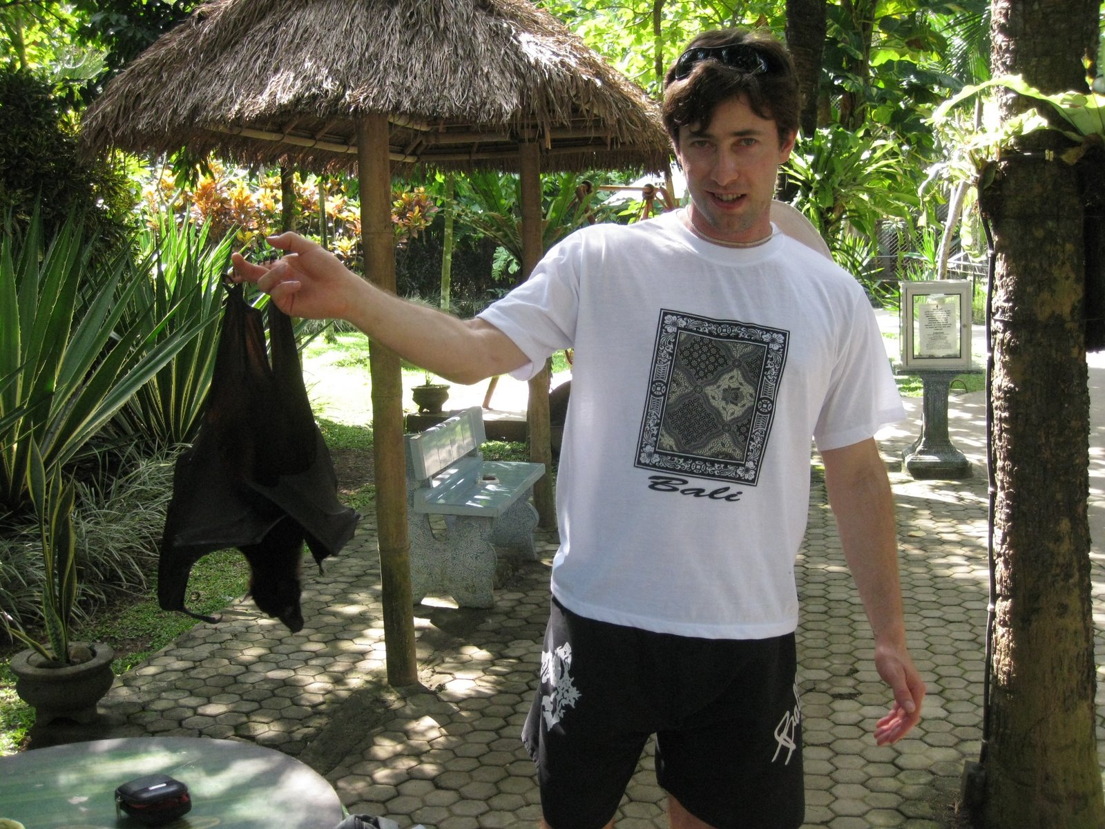 [Egypt+and+Bali+167.JPG]