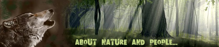 ABOUT NATURE AND PEOPLE ...