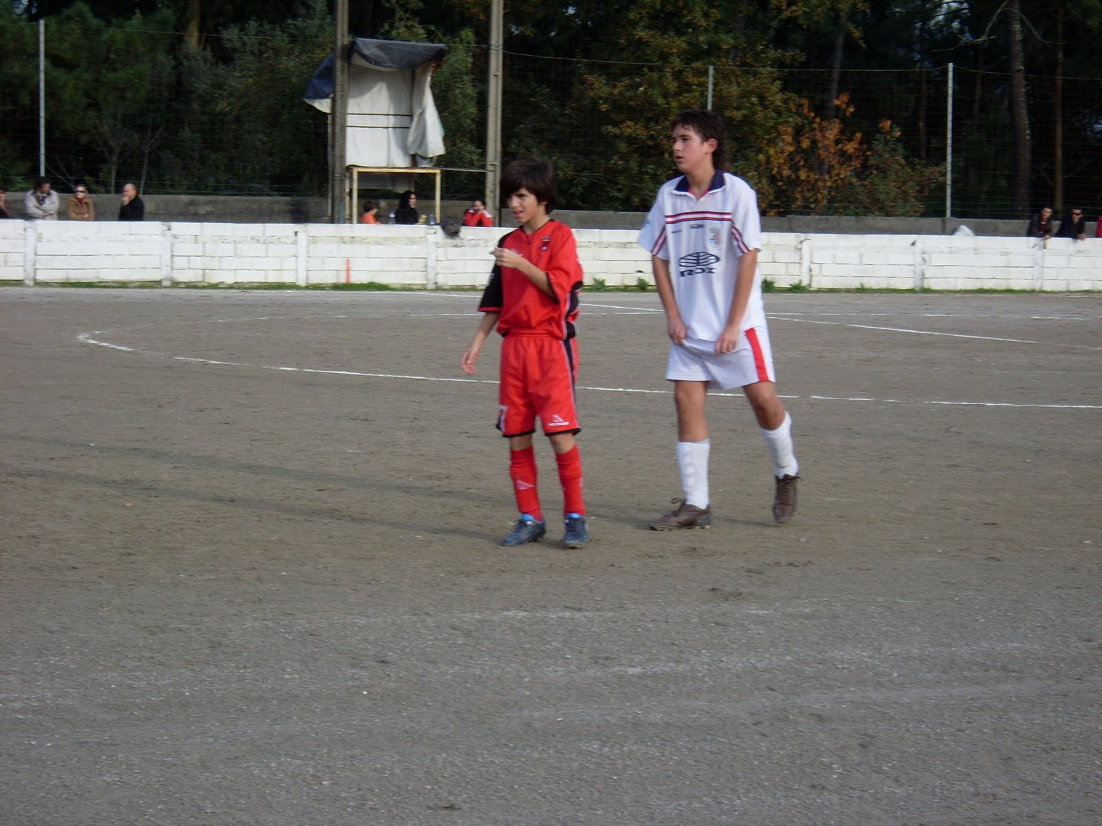 [SL377240.JPG]