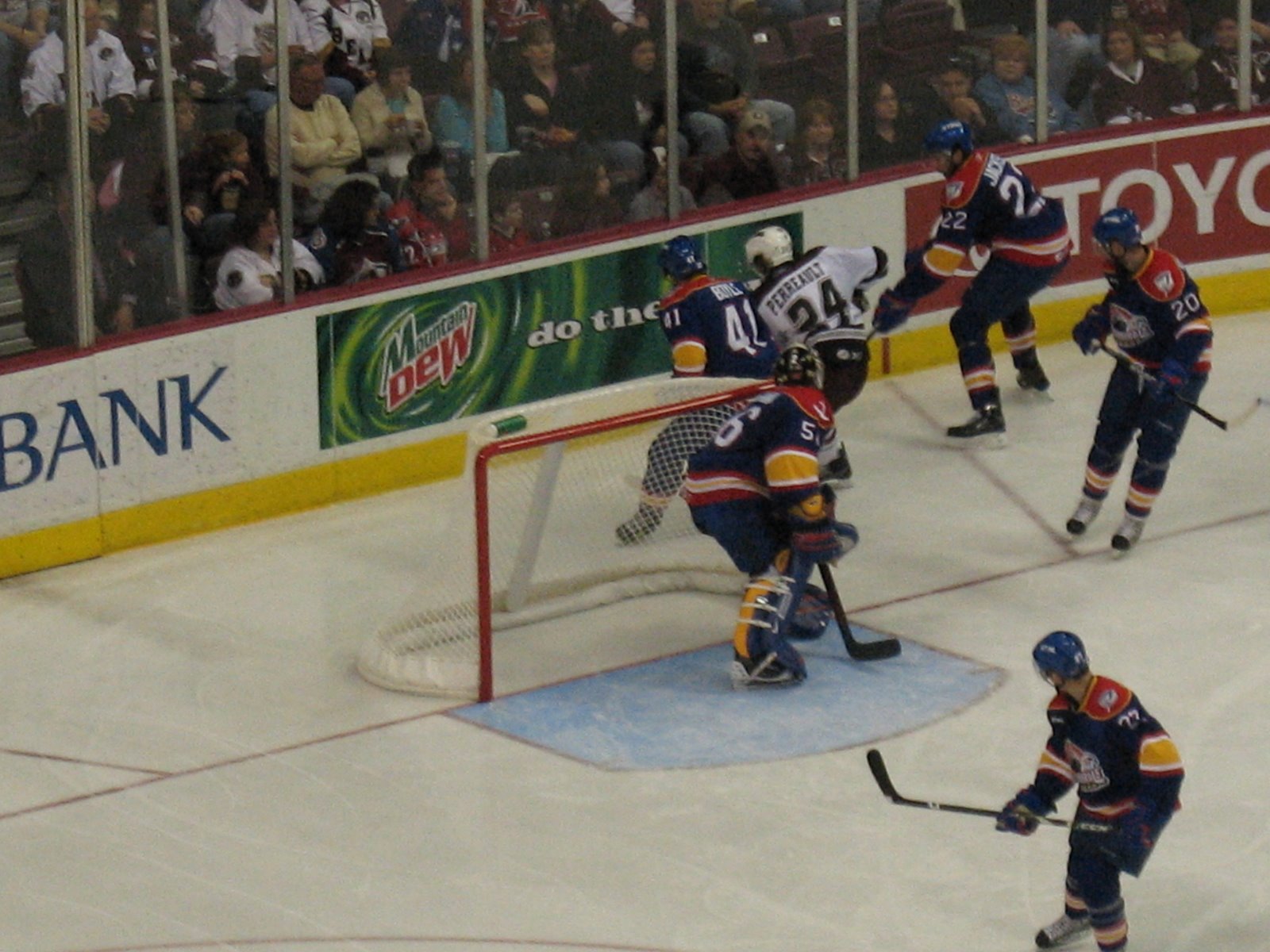 [Bears+Nov+30th+009.jpg]