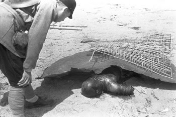 Fotos das vitimas da bomba atomica 39 Fotos das vitimas da bomba atomica 87