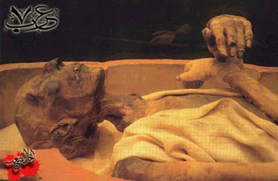 Images+of+firon+dead+body