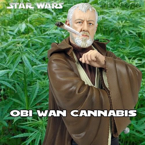 LA FIRMA GRÁFICA: OBI WAN CANNABIS