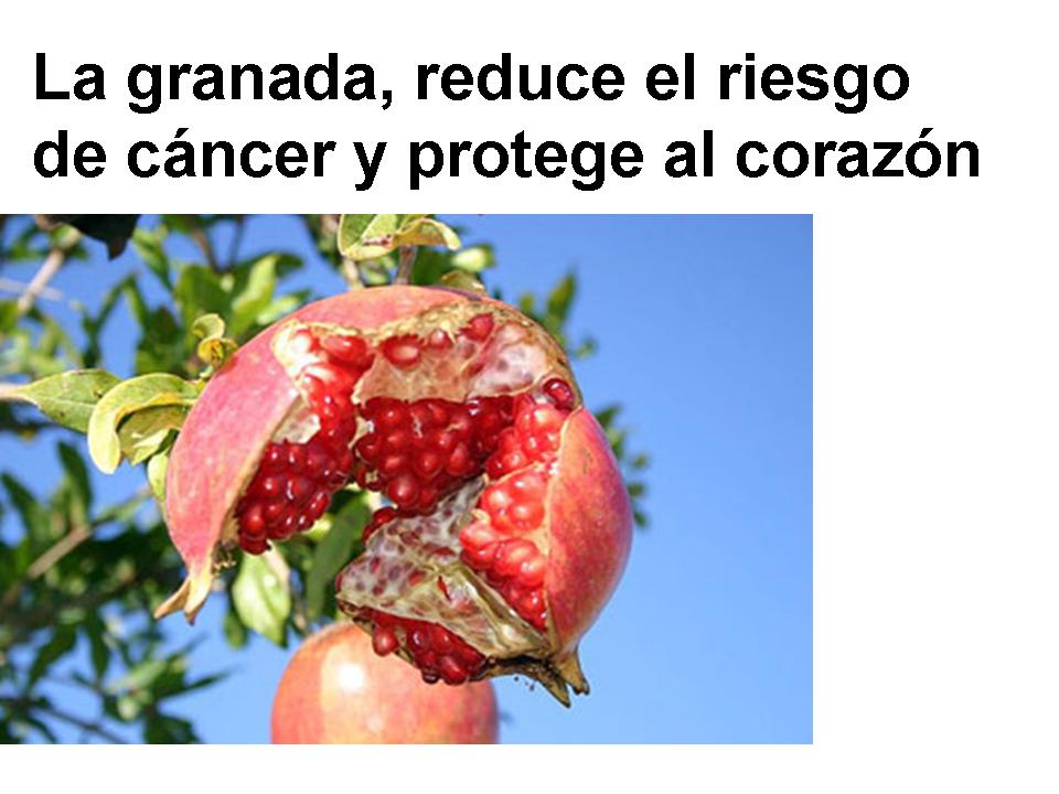[La+granada.jpg]