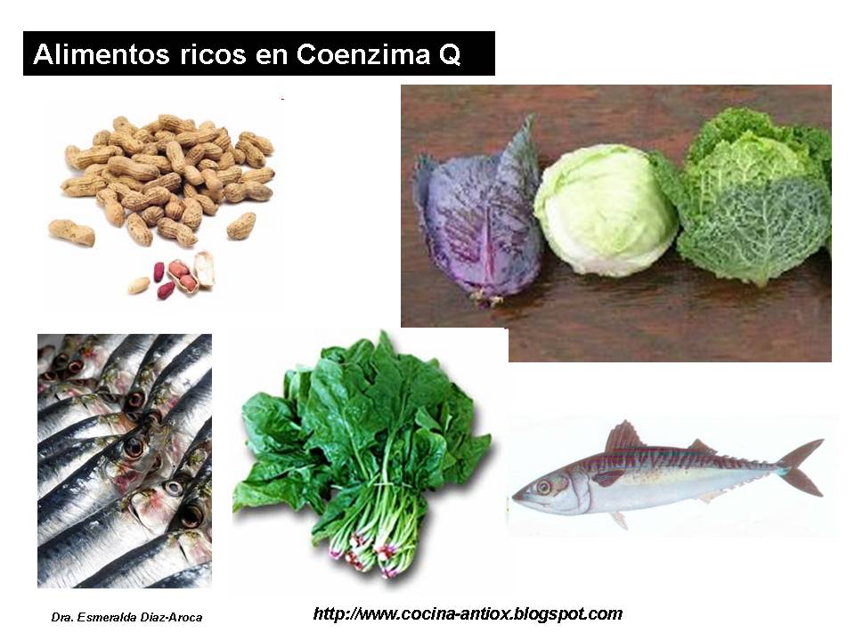 [Alimentos+ricos+en+Q10.jpg]