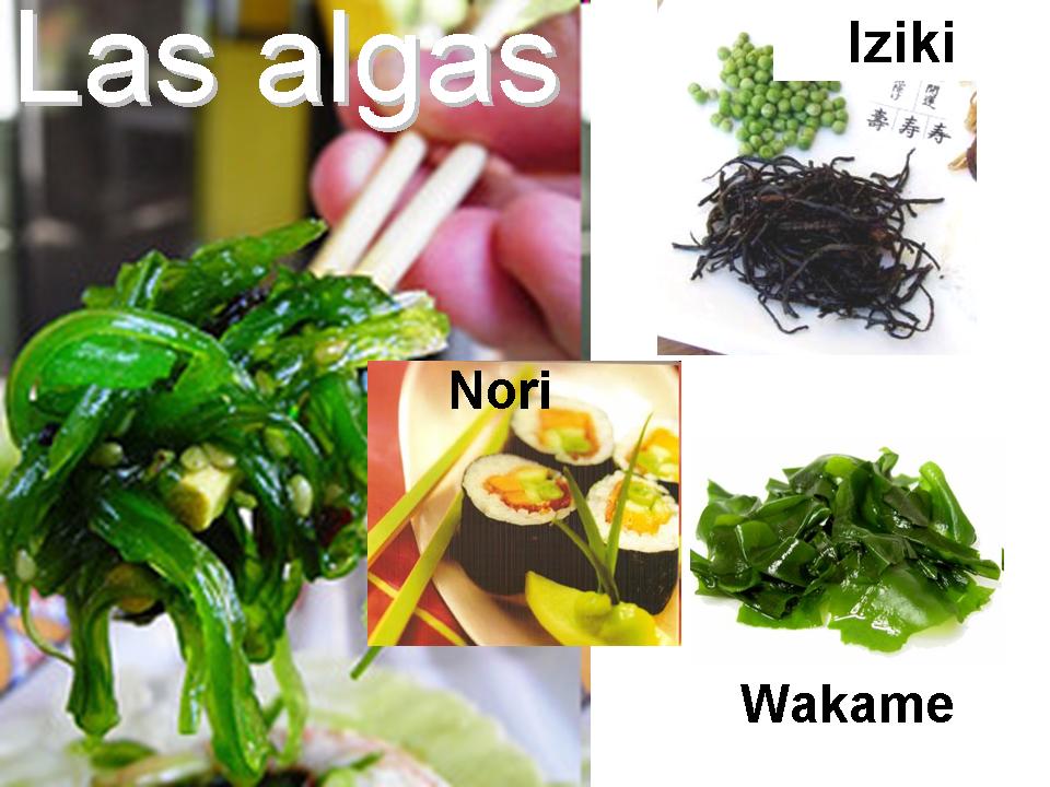 [algas.jpg]