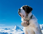 Home of the St. Bernard - The Alps