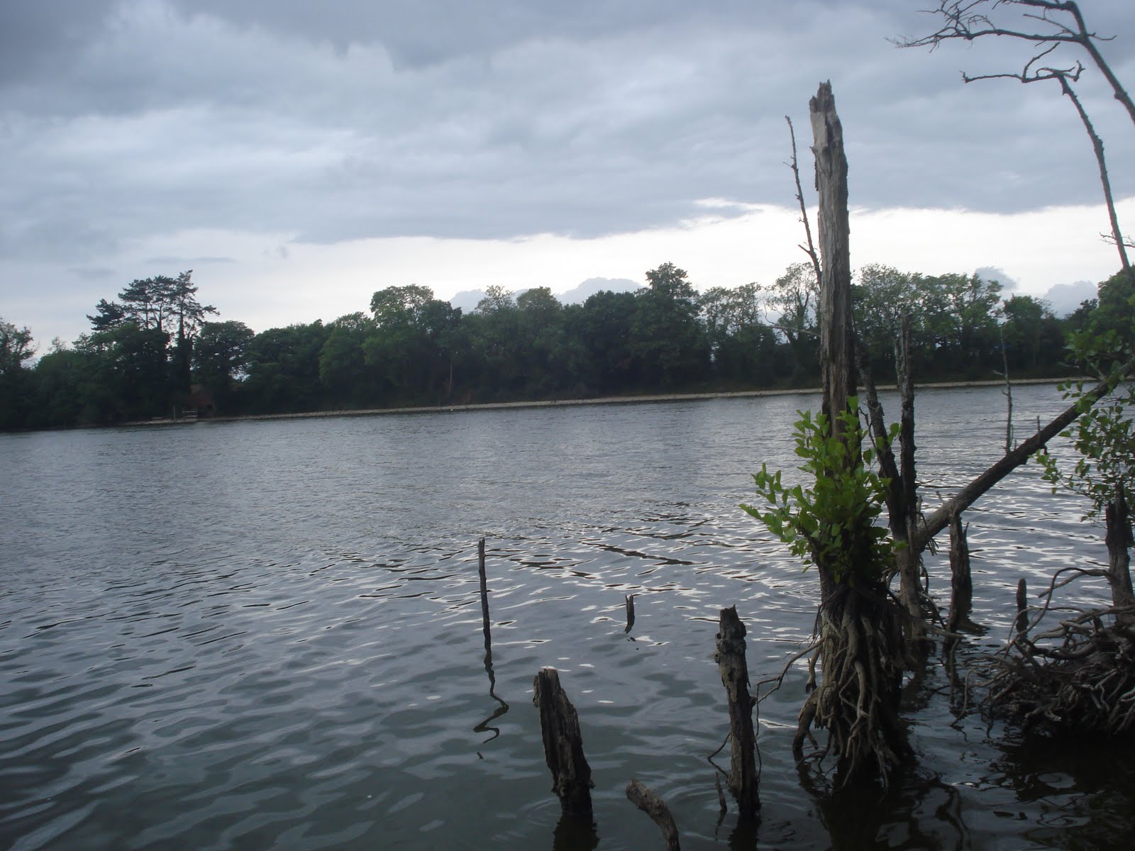 [Chard+Resi+3rd+Aug+2008.JPG]