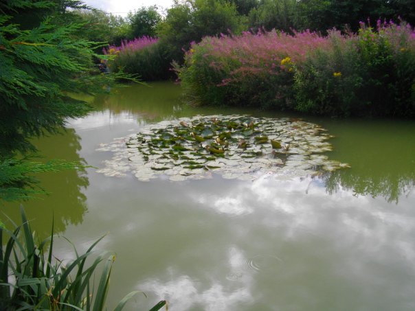 [Chris+pond+2nd+August+09.jpg]