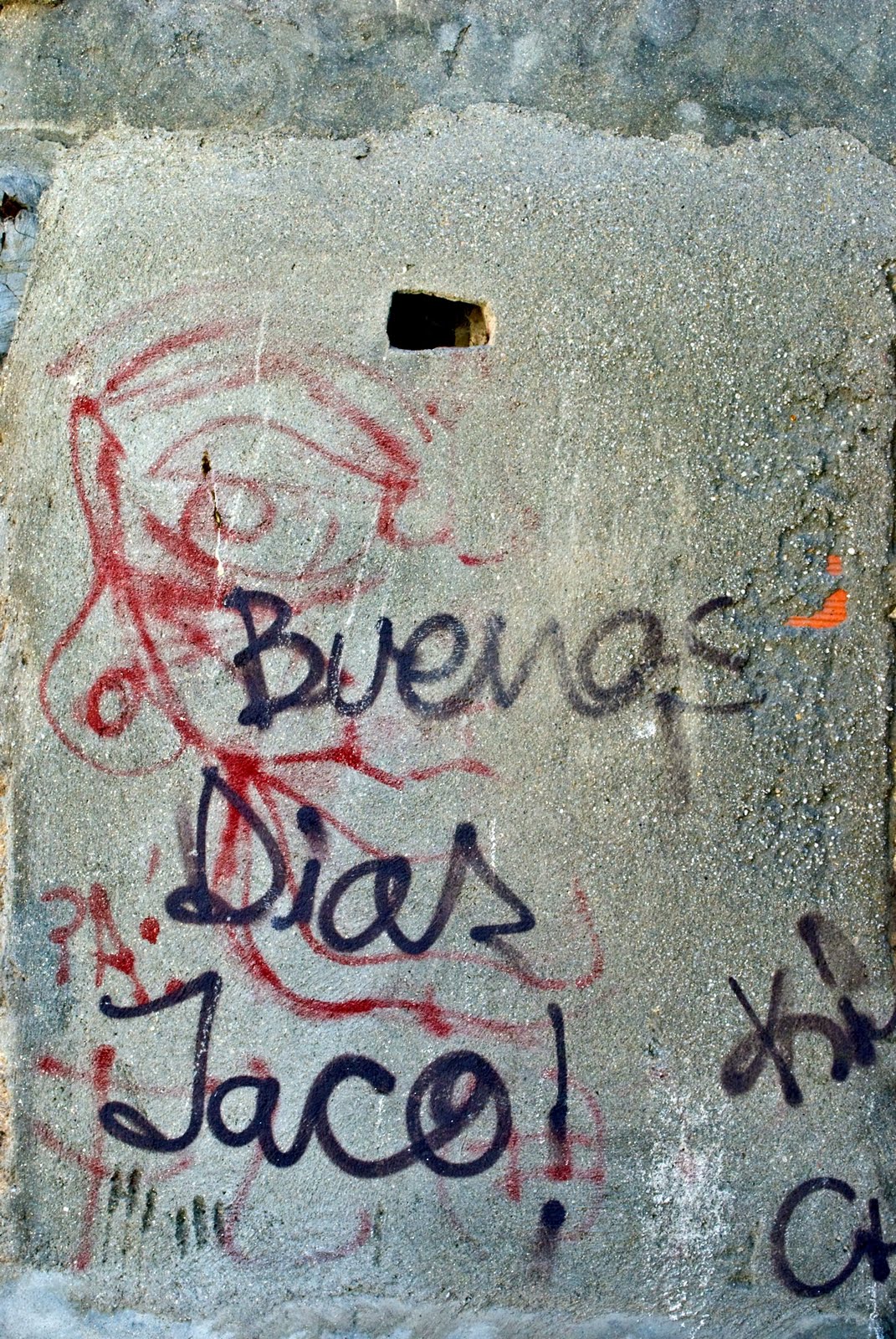 [Pintada-3.jpg]