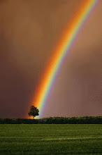 A Rainbow in my Life ♥