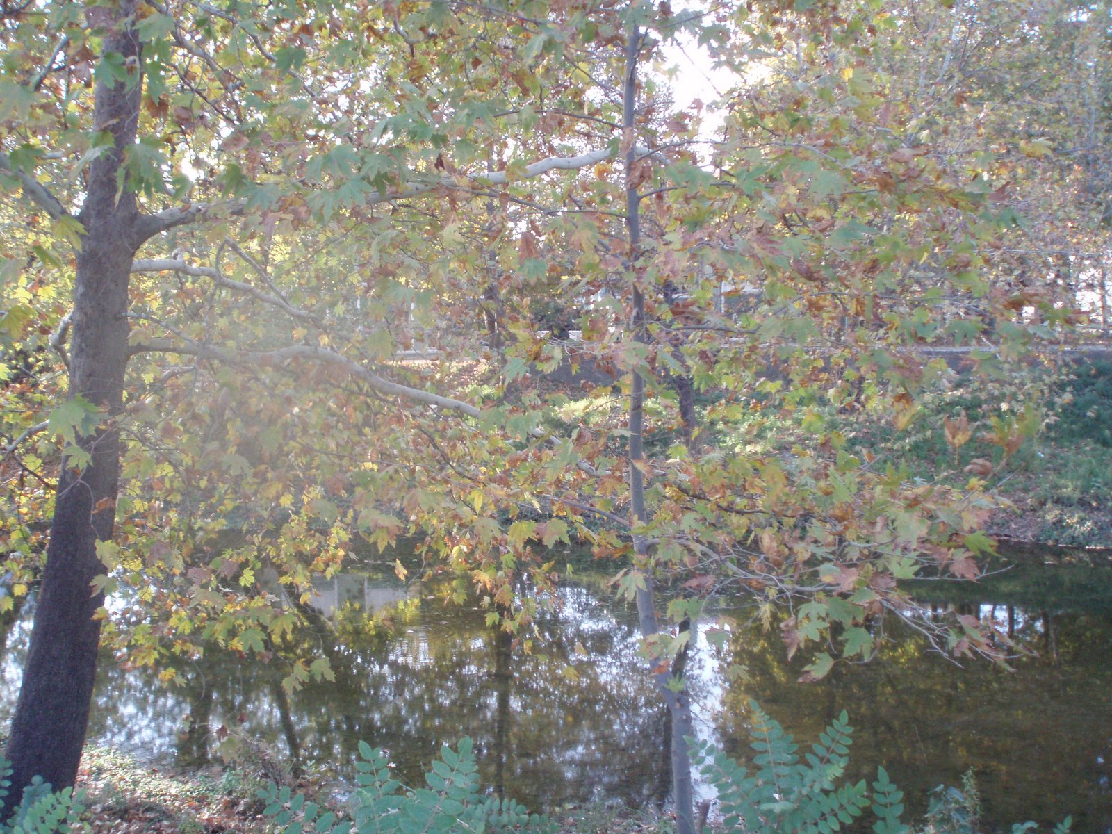 [P1010167.JPG]