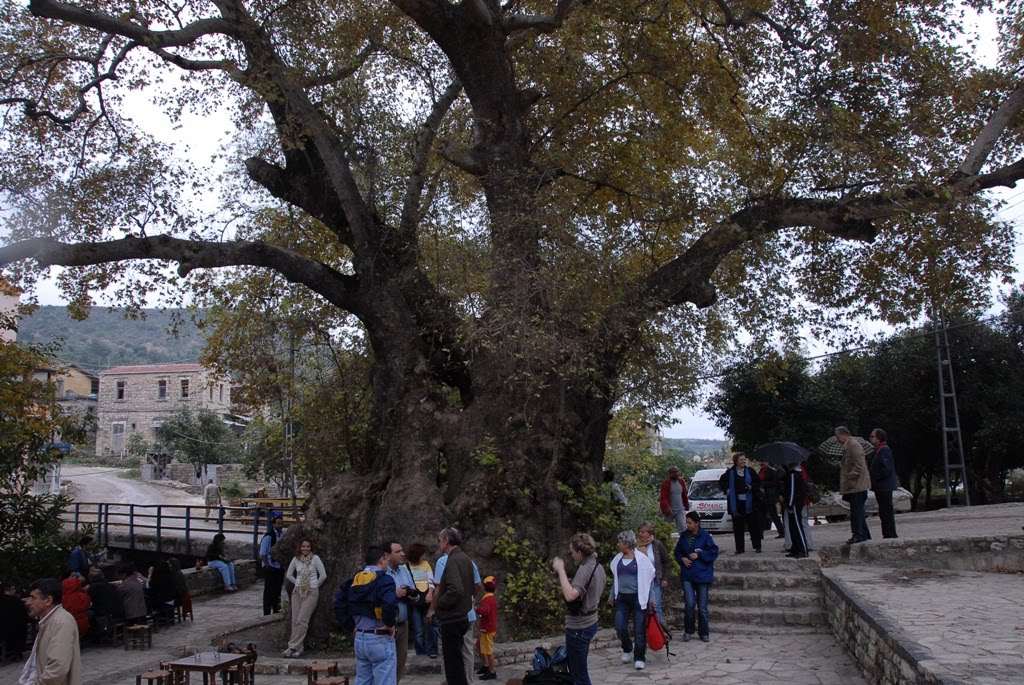 [BOT_0564.JPG]