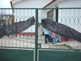 Estou de luto pela educação