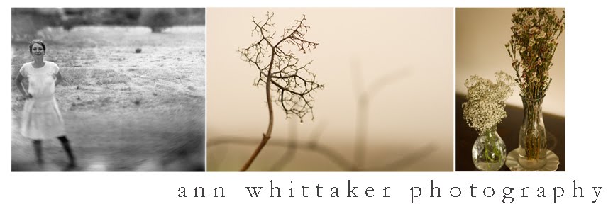 Ann Whittaker Photography