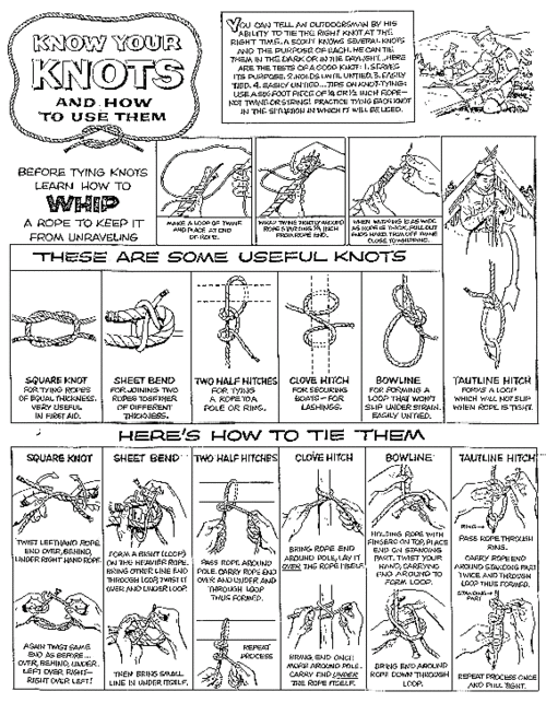 i dream of kelly captain tying knots