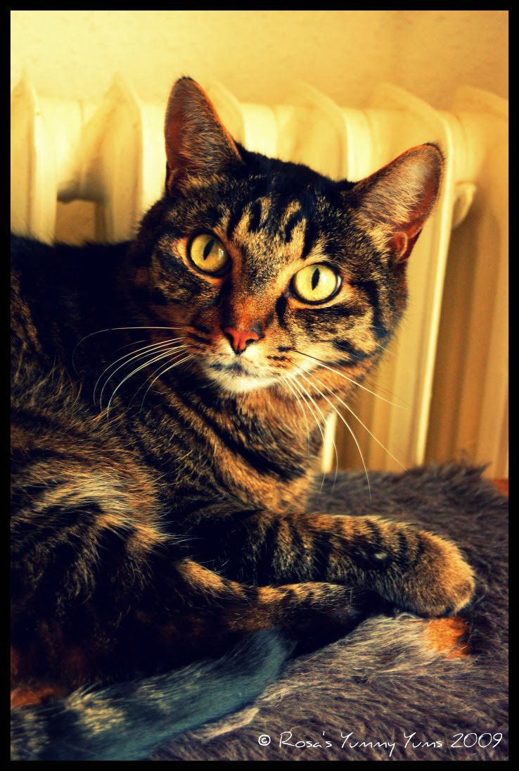 [Fridolin+Tree+1+bis.jpg]