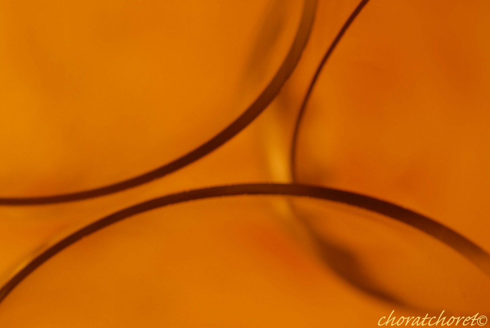 [DSC_0017a.jpg]