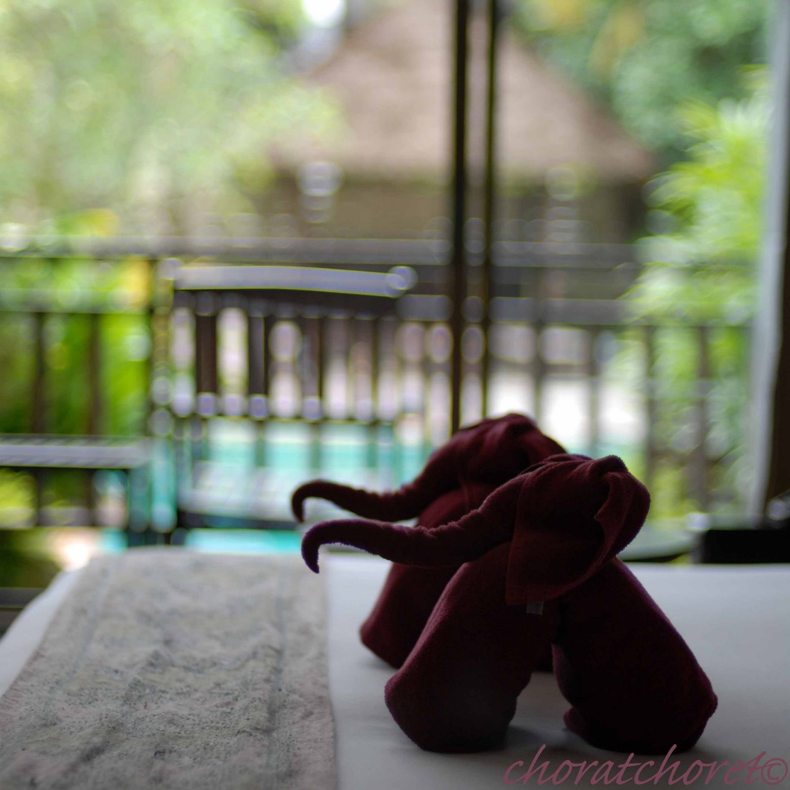 [DSC_0004+copy.jpg]