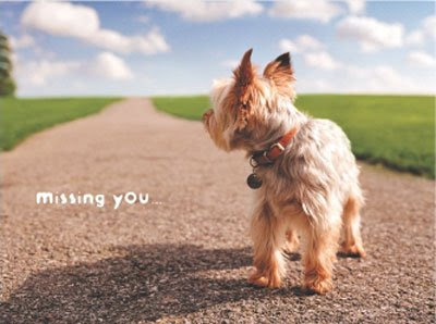 miss+you.bmp