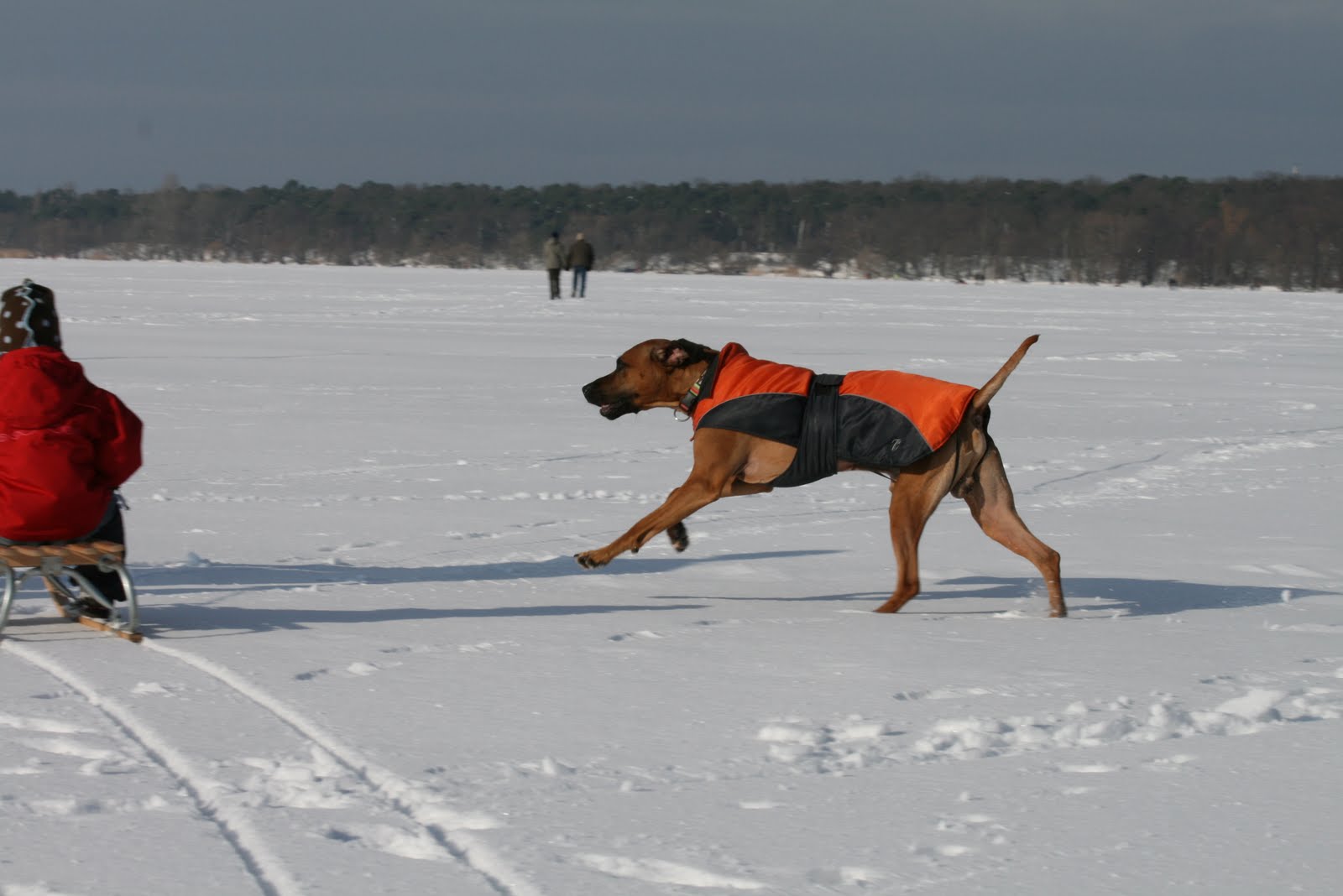 [IMG_7241.JPG]