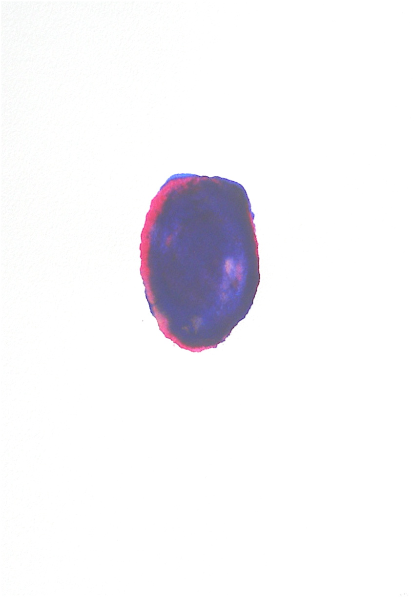 [DSCN1601.jpg]