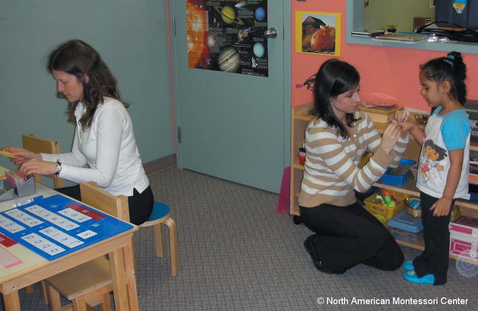 Assistant Teacher